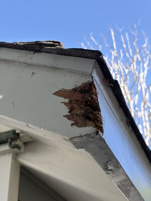 Exterior fascia restoration — project photo 5