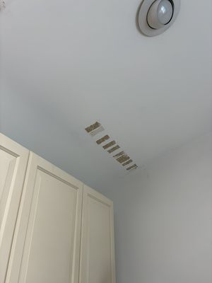 Multi-opening ceiling restoration — project photo 2